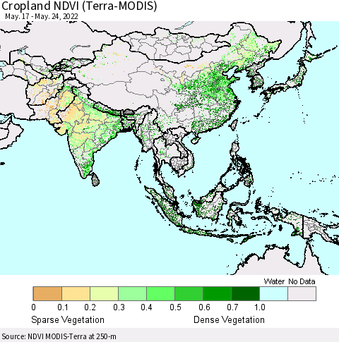 Asia Cropland NDVI (Terra-MODIS) Thematic Map For 5/17/2022 - 5/24/2022