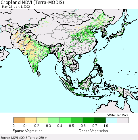 Asia Cropland NDVI (Terra-MODIS) Thematic Map For 5/25/2022 - 6/1/2022