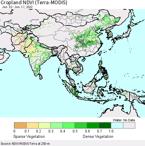 Asia Cropland NDVI (Terra-MODIS) Thematic Map For 6/10/2022 - 6/17/2022