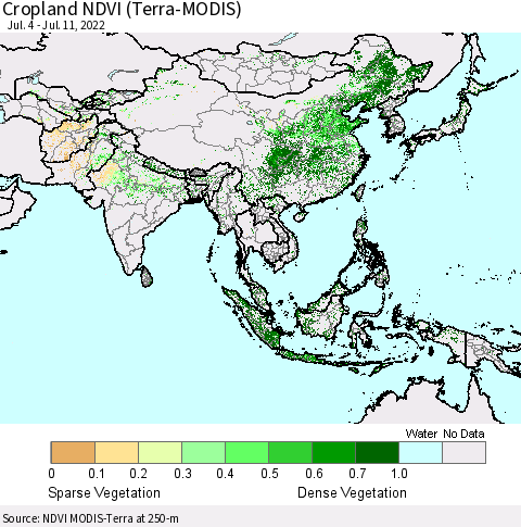 Asia Cropland NDVI (Terra-MODIS) Thematic Map For 7/4/2022 - 7/11/2022