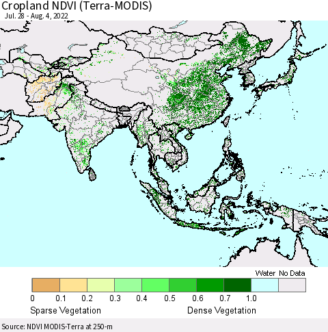 Asia Cropland NDVI (Terra-MODIS) Thematic Map For 7/28/2022 - 8/4/2022