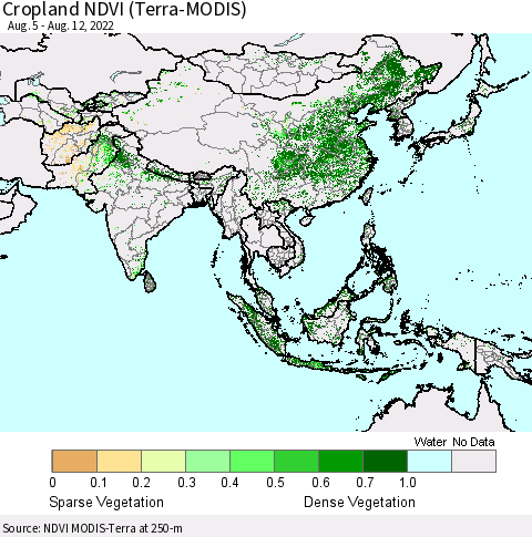 Asia Cropland NDVI (Terra-MODIS) Thematic Map For 8/5/2022 - 8/12/2022