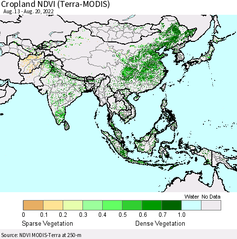 Asia Cropland NDVI (Terra-MODIS) Thematic Map For 8/13/2022 - 8/20/2022