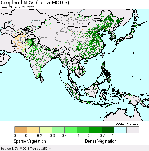 Asia Cropland NDVI (Terra-MODIS) Thematic Map For 8/21/2022 - 8/28/2022