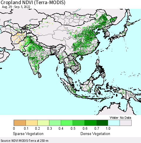 Asia Cropland NDVI (Terra-MODIS) Thematic Map For 8/29/2022 - 9/5/2022