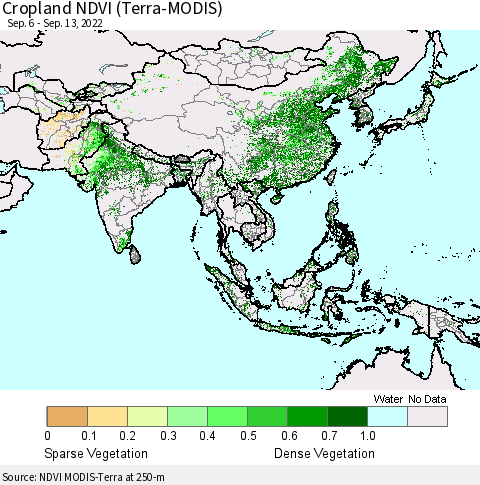 Asia Cropland NDVI (Terra-MODIS) Thematic Map For 9/6/2022 - 9/13/2022