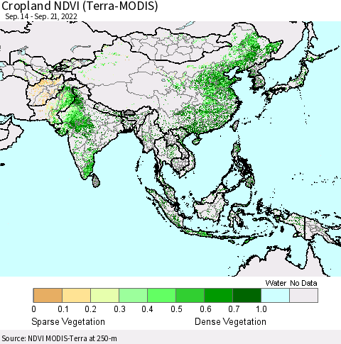 Asia Cropland NDVI (Terra-MODIS) Thematic Map For 9/14/2022 - 9/21/2022