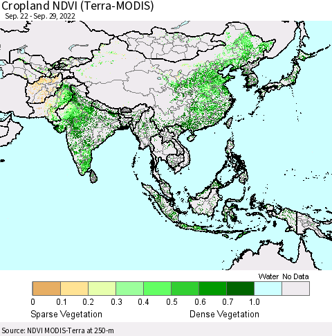 Asia Cropland NDVI (Terra-MODIS) Thematic Map For 9/22/2022 - 9/29/2022