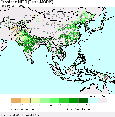 Asia Cropland NDVI (Terra-MODIS) Thematic Map For 9/30/2022 - 10/7/2022