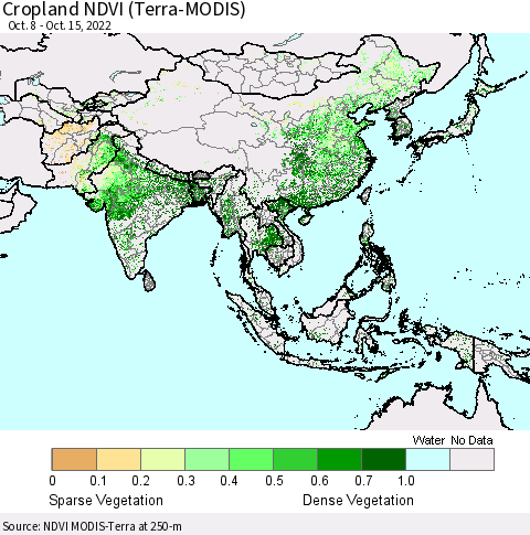 Asia Cropland NDVI (Terra-MODIS) Thematic Map For 10/8/2022 - 10/15/2022