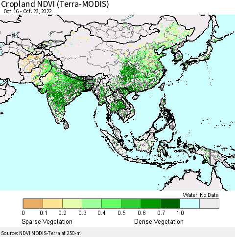 Asia Cropland NDVI (Terra-MODIS) Thematic Map For 10/16/2022 - 10/23/2022