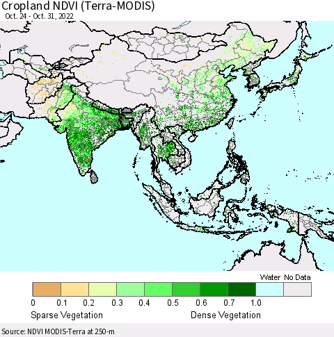 Asia Cropland NDVI (Terra-MODIS) Thematic Map For 10/24/2022 - 10/31/2022