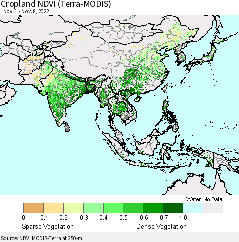 Asia Cropland NDVI (Terra-MODIS) Thematic Map For 11/1/2022 - 11/8/2022