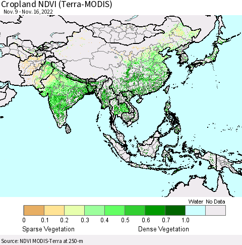 Asia Cropland NDVI (Terra-MODIS) Thematic Map For 11/9/2022 - 11/16/2022