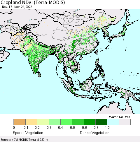 Asia Cropland NDVI (Terra-MODIS) Thematic Map For 11/17/2022 - 11/24/2022