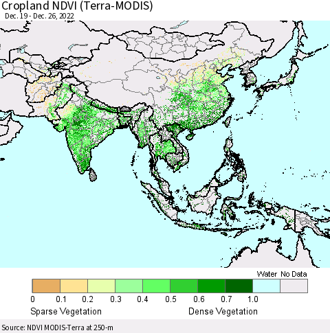 Asia Cropland NDVI (Terra-MODIS) Thematic Map For 12/19/2022 - 12/26/2022