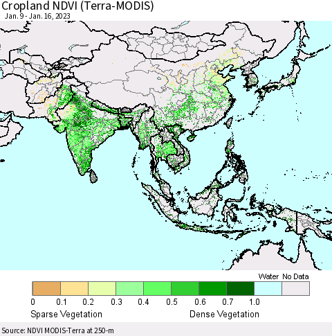 Asia Cropland NDVI (Terra-MODIS) Thematic Map For 1/9/2023 - 1/16/2023
