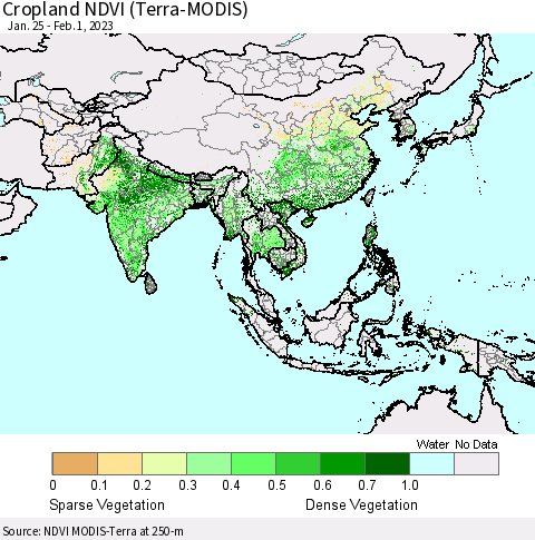 Asia Cropland NDVI (Terra-MODIS) Thematic Map For 1/25/2023 - 2/1/2023