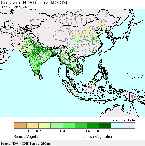 Asia Cropland NDVI (Terra-MODIS) Thematic Map For 2/2/2023 - 2/9/2023