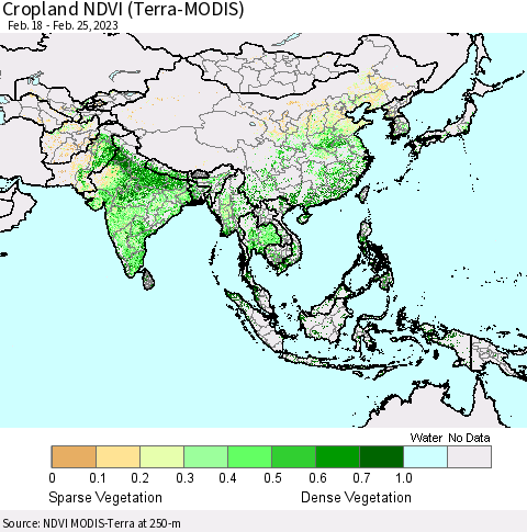 Asia Cropland NDVI (Terra-MODIS) Thematic Map For 2/18/2023 - 2/25/2023