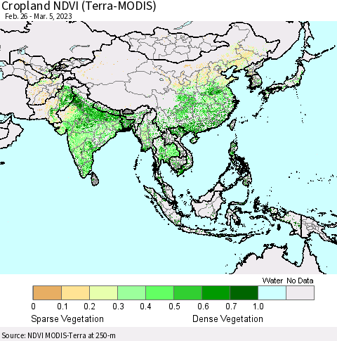 Asia Cropland NDVI (Terra-MODIS) Thematic Map For 2/26/2023 - 3/5/2023