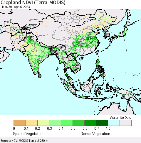 Asia Cropland NDVI (Terra-MODIS) Thematic Map For 3/30/2023 - 4/6/2023