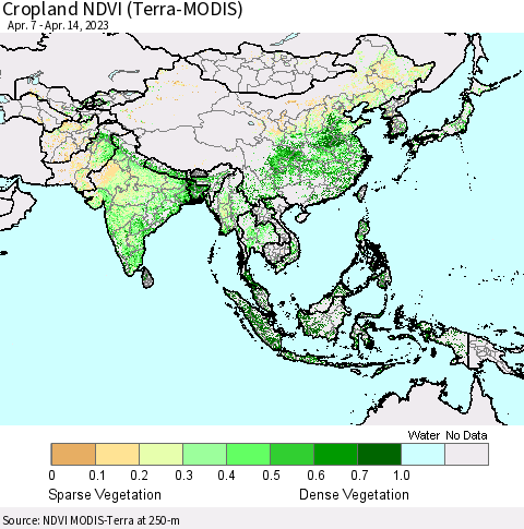 Asia Cropland NDVI (Terra-MODIS) Thematic Map For 4/7/2023 - 4/14/2023