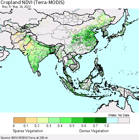 Asia Cropland NDVI (Terra-MODIS) Thematic Map For 5/9/2023 - 5/16/2023