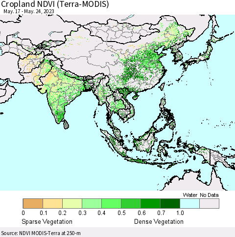 Asia Cropland NDVI (Terra-MODIS) Thematic Map For 5/17/2023 - 5/24/2023