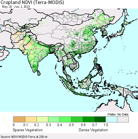 Asia Cropland NDVI (Terra-MODIS) Thematic Map For 5/25/2023 - 6/1/2023