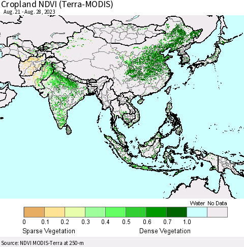 Asia Cropland NDVI (Terra-MODIS) Thematic Map For 8/21/2023 - 8/28/2023
