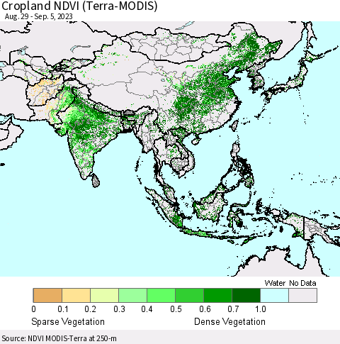 Asia Cropland NDVI (Terra-MODIS) Thematic Map For 8/29/2023 - 9/5/2023
