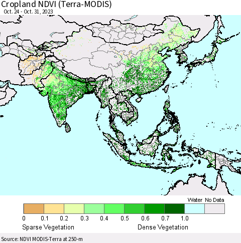 Asia Cropland NDVI (Terra-MODIS) Thematic Map For 10/24/2023 - 10/31/2023