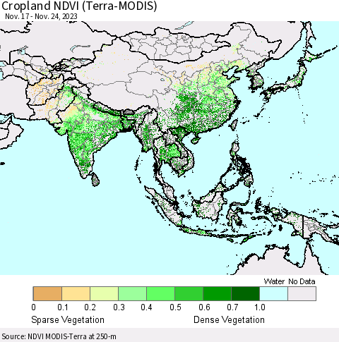 Asia Cropland NDVI (Terra-MODIS) Thematic Map For 11/17/2023 - 11/24/2023