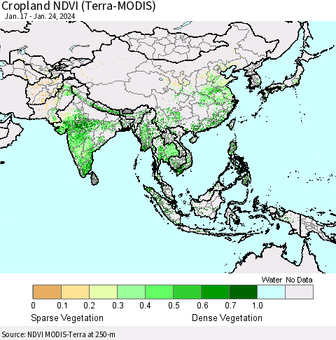 Asia Cropland NDVI (Terra-MODIS) Thematic Map For 1/17/2024 - 1/24/2024