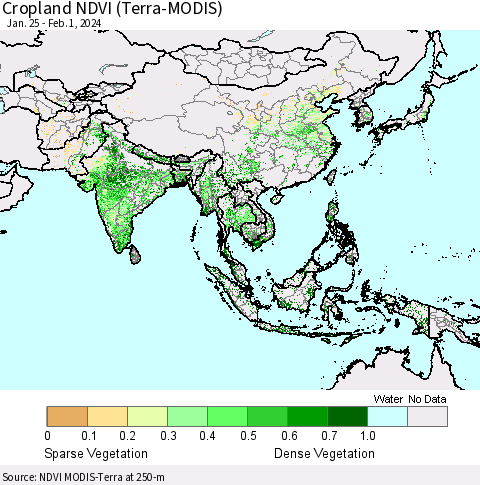 Asia Cropland NDVI (Terra-MODIS) Thematic Map For 1/25/2024 - 2/1/2024