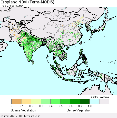 Asia Cropland NDVI (Terra-MODIS) Thematic Map For 2/2/2024 - 2/9/2024