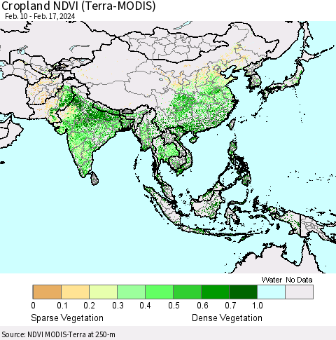 Asia Cropland NDVI (Terra-MODIS) Thematic Map For 2/10/2024 - 2/17/2024