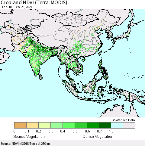 Asia Cropland NDVI (Terra-MODIS) Thematic Map For 2/18/2024 - 2/25/2024