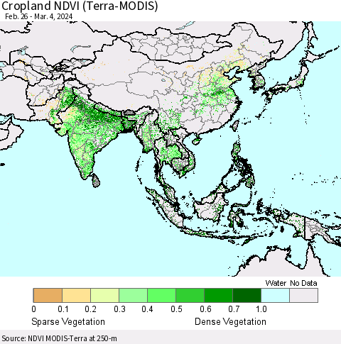 Asia Cropland NDVI (Terra-MODIS) Thematic Map For 2/26/2024 - 3/4/2024