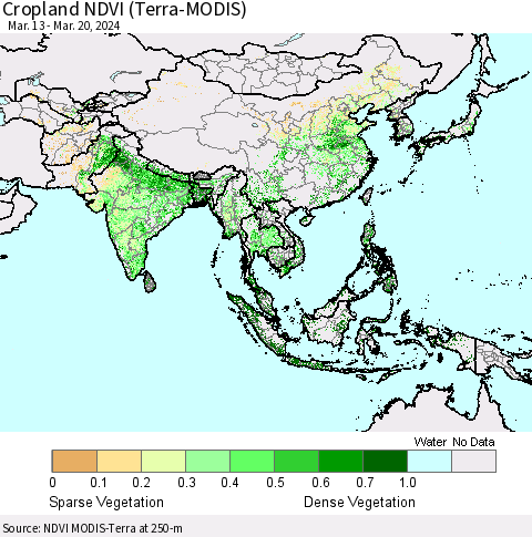 Asia Cropland NDVI (Terra-MODIS) Thematic Map For 3/13/2024 - 3/20/2024