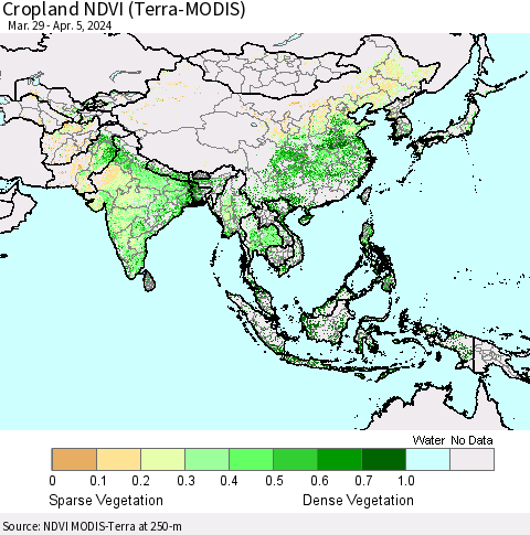 Asia Cropland NDVI (Terra-MODIS) Thematic Map For 3/29/2024 - 4/5/2024