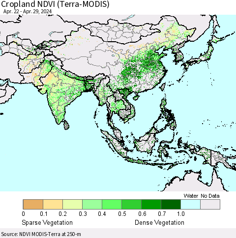 Asia Cropland NDVI (Terra-MODIS) Thematic Map For 4/22/2024 - 4/29/2024