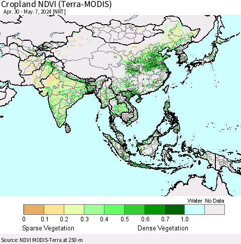 Asia Cropland NDVI (Terra-MODIS) Thematic Map For 4/30/2024 - 5/7/2024