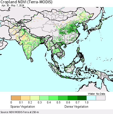Asia Cropland NDVI (Terra-MODIS) Thematic Map For 4/30/2024 - 5/7/2024