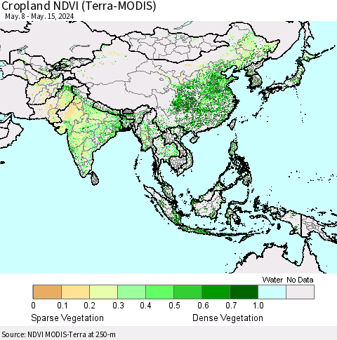 Asia Cropland NDVI (Terra-MODIS) Thematic Map For 5/8/2024 - 5/15/2024
