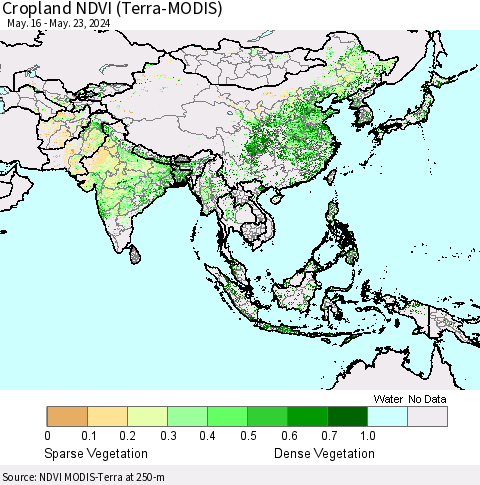 Asia Cropland NDVI (Terra-MODIS) Thematic Map For 5/16/2024 - 5/23/2024