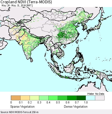 Asia Cropland NDVI (Terra-MODIS) Thematic Map For 5/24/2024 - 5/31/2024