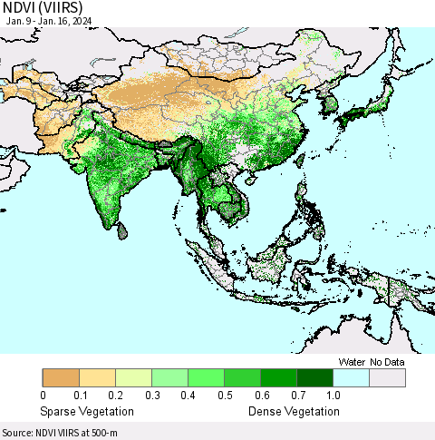 Asia NDVI (VIIRS) Thematic Map For 1/9/2024 - 1/16/2024