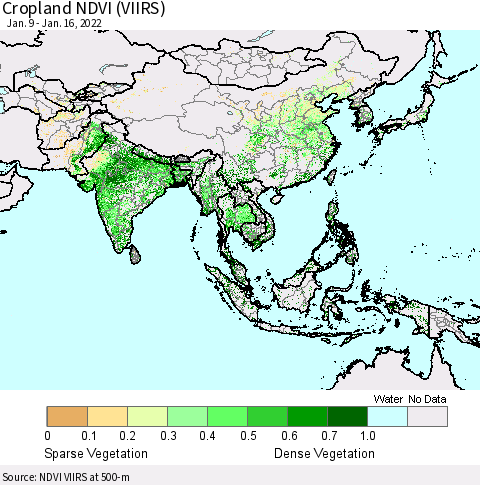 Asia Cropland NDVI (VIIRS) Thematic Map For 1/9/2022 - 1/16/2022